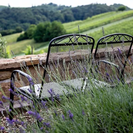 Herga Wine Estate - Old Lady - Villa *