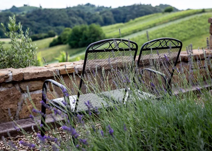 Herga Wine Estate - Old Lady - Villa *